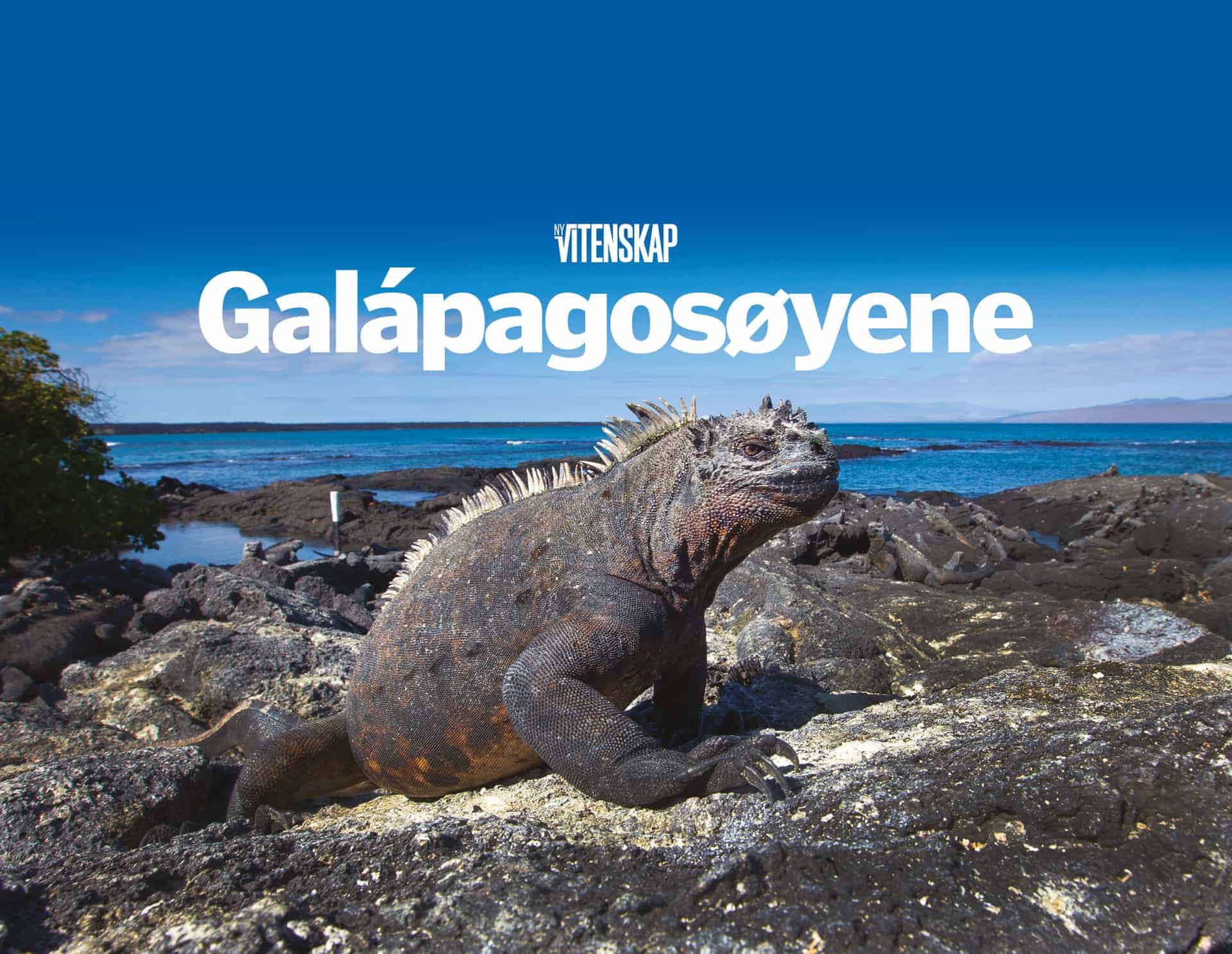 Galápagosøyene