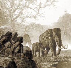 Neandertalere jakter mammut