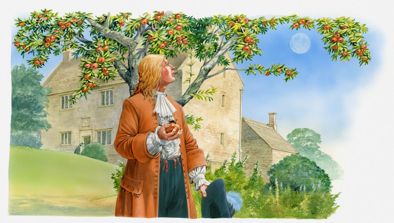 Isaac Newton holder et rødt eple og ser opp på treet