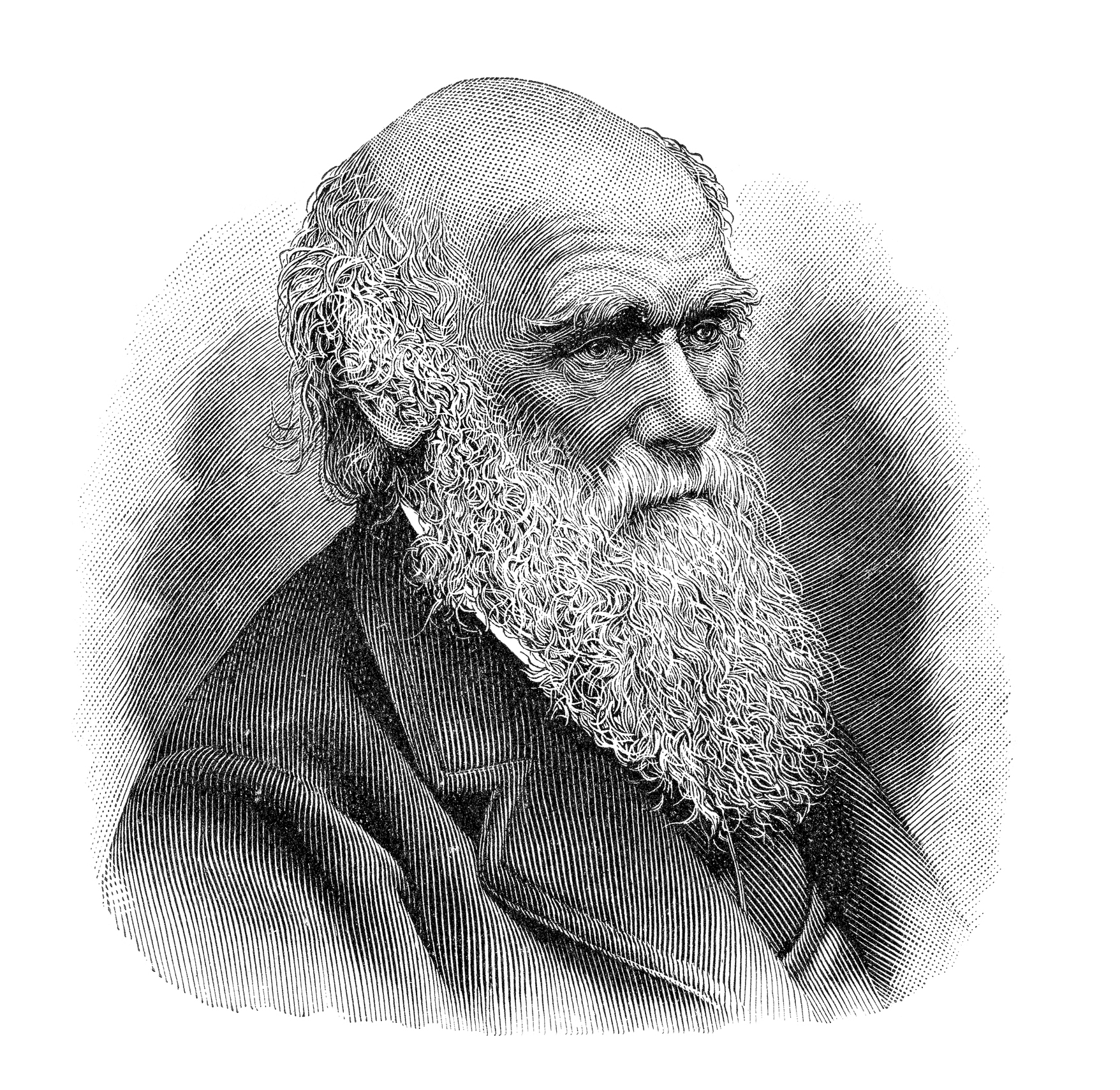 Charles Darwin illustrasjon