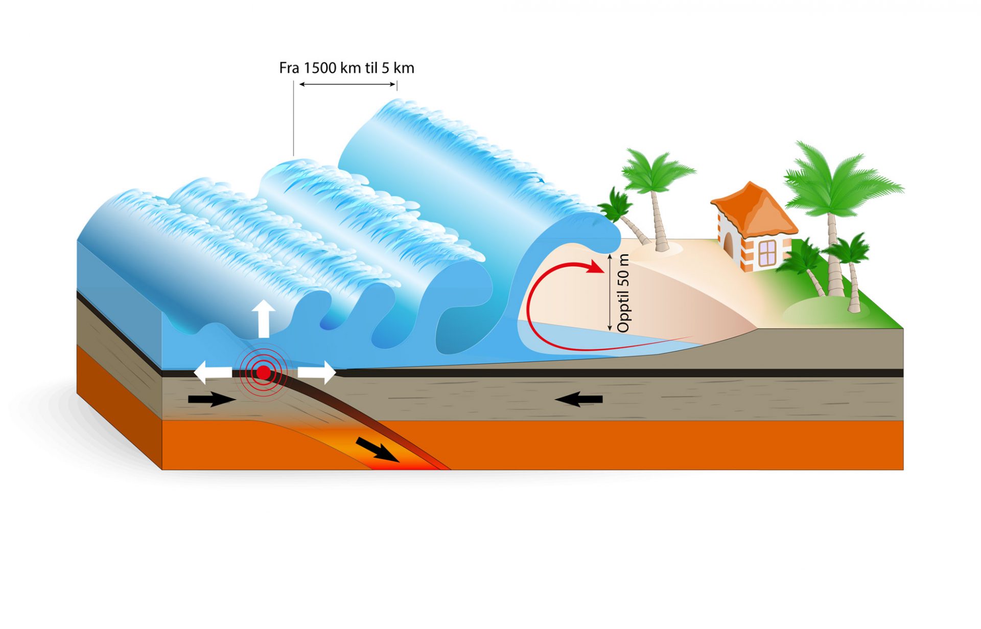Tsunami illustrert