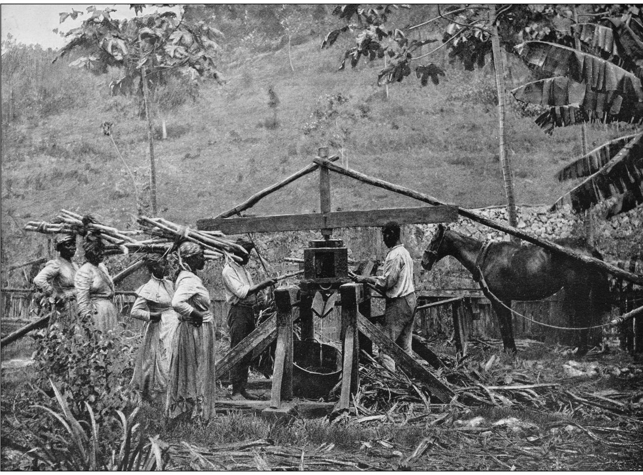 Bilde fra en sukkerplantasje på Jamaica der slaver gjør jobben.