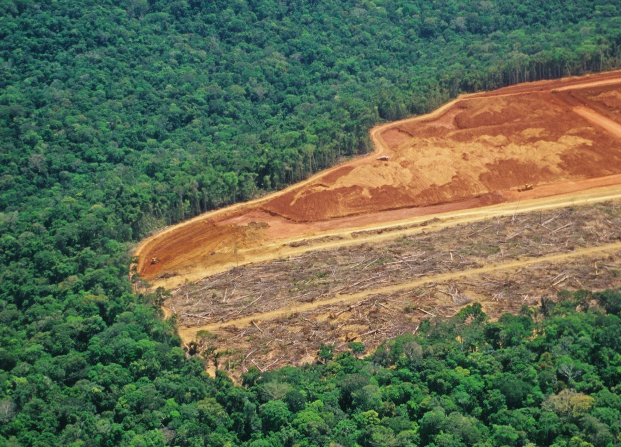 Avskoging i Amazonas