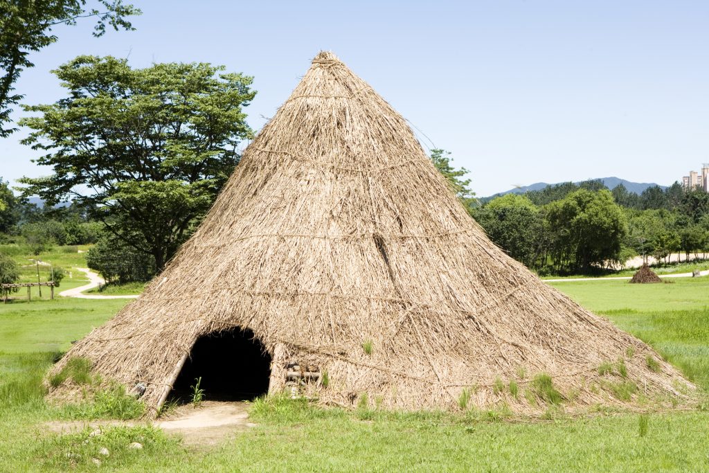 Neolithic house