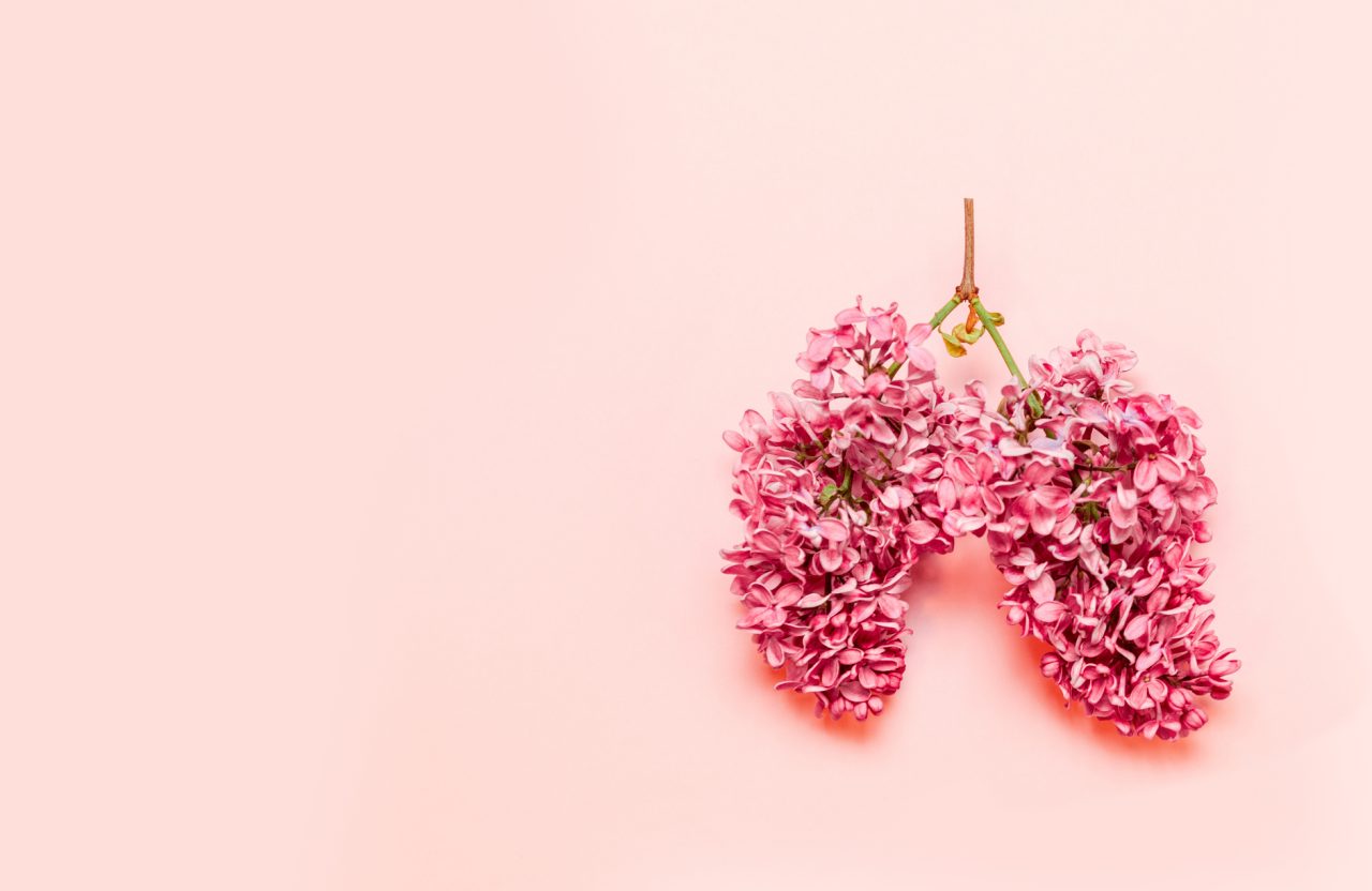 Blomster som ser ut som lunger