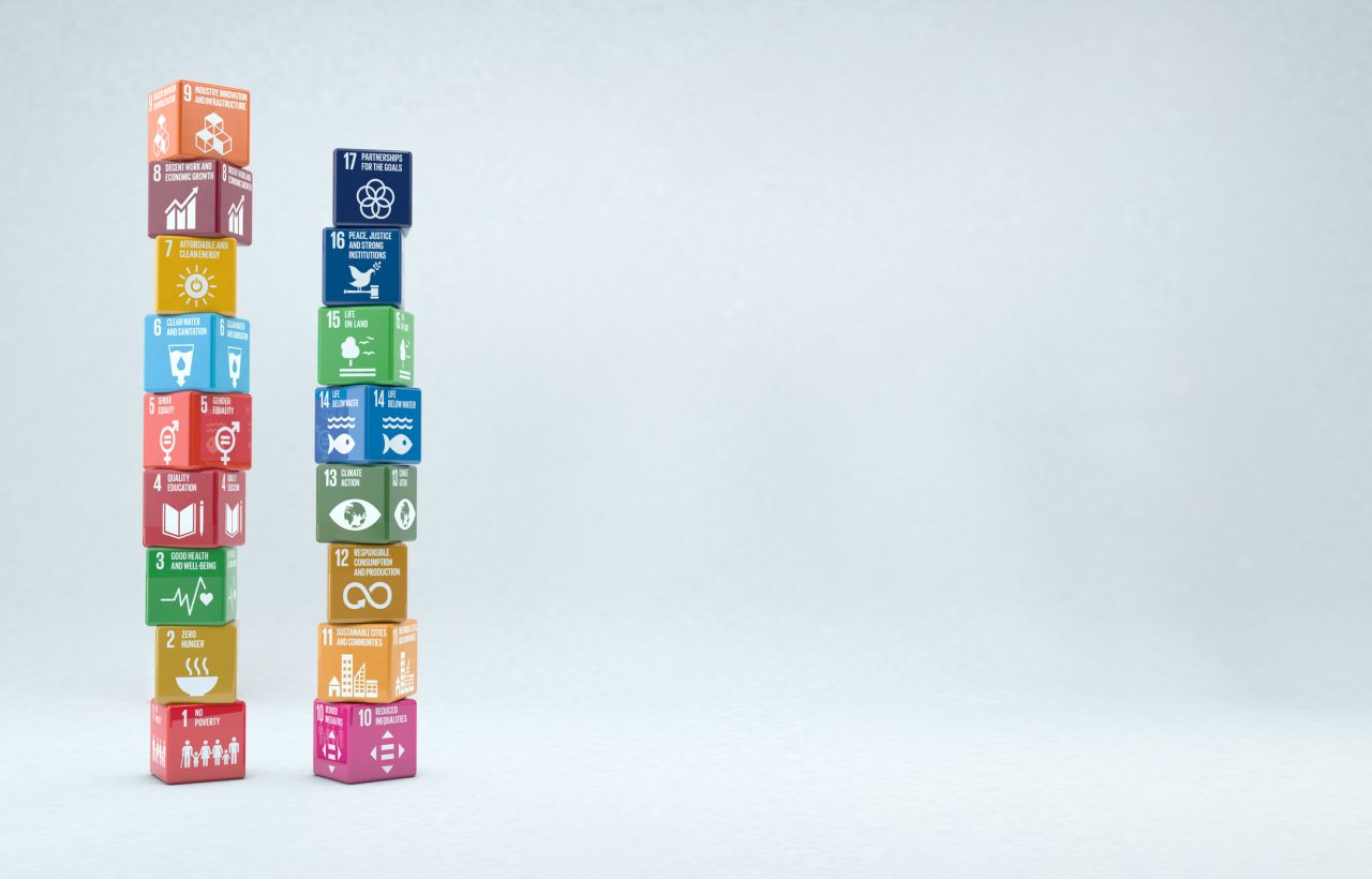 FNs bærekraftmål