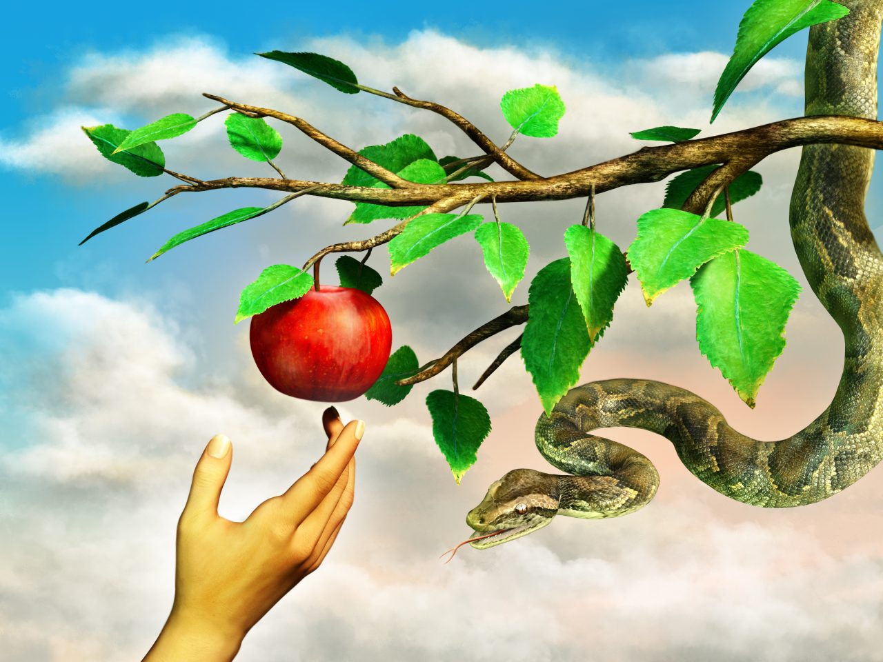 Illustrasjon av et eple som henger i et tre, Eva sin hånd som prøver å få tak i eplet, men det er også en slange i treet. Illustrasjon av bibel fortelling av Adam og Eva.