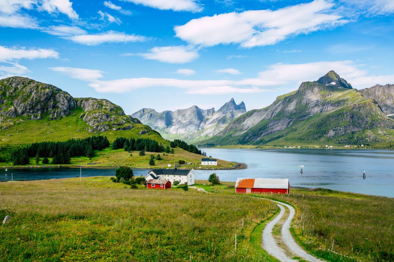 Vei og fjord