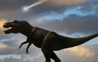 Dinosaur og asteroide