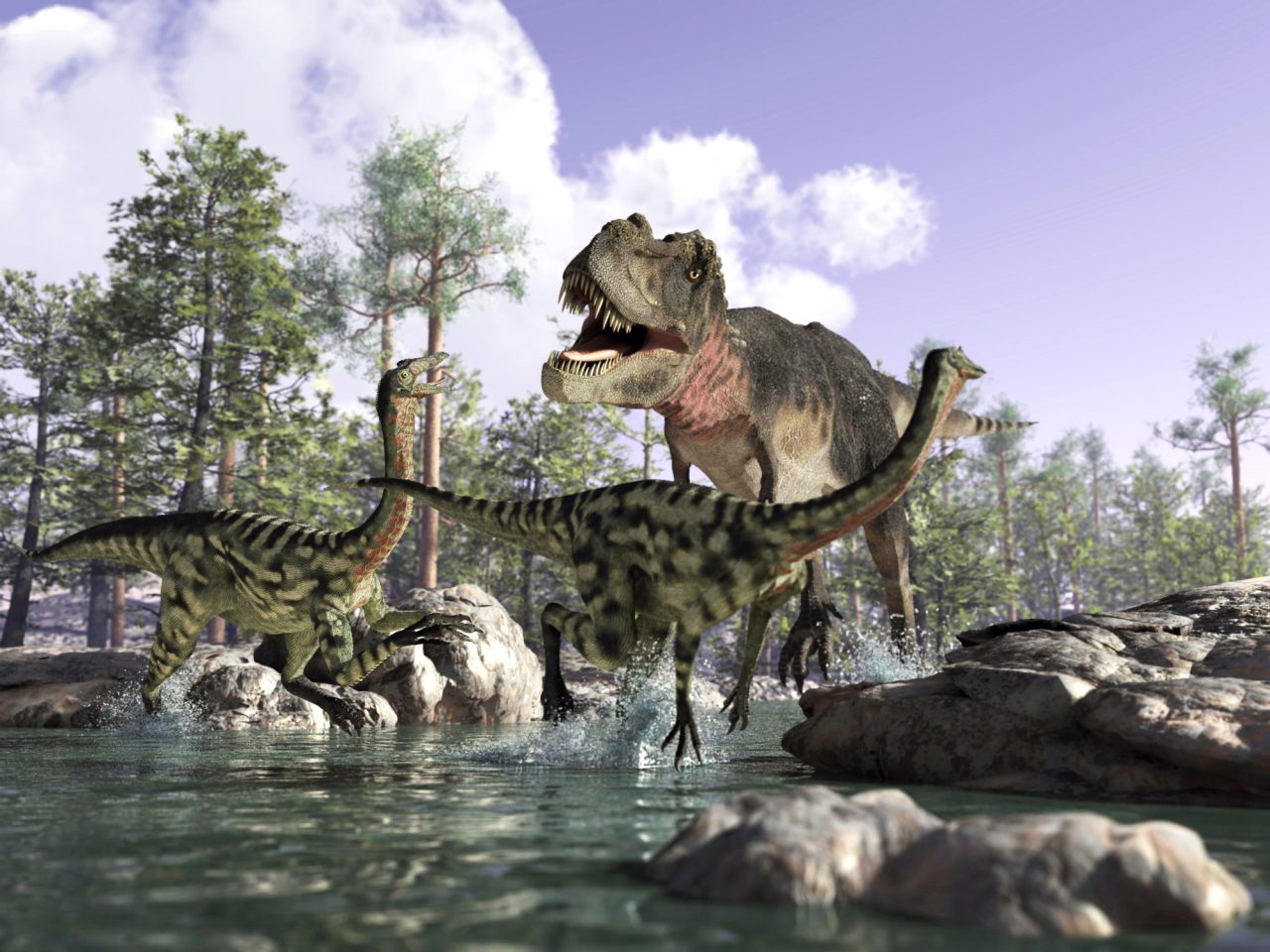 Tyrannosauruksella oli paljon hampaita, jotka saattoivat olla 15 senttiä pitkät.