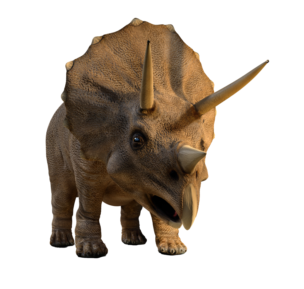 Triceratops main image 1