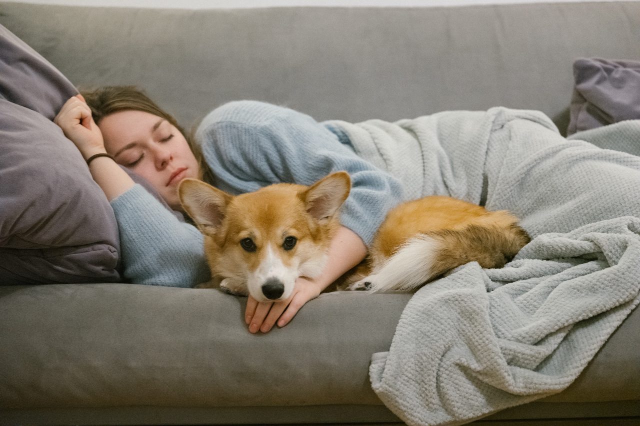 Dame som slapper av i sofaen med hunden sin