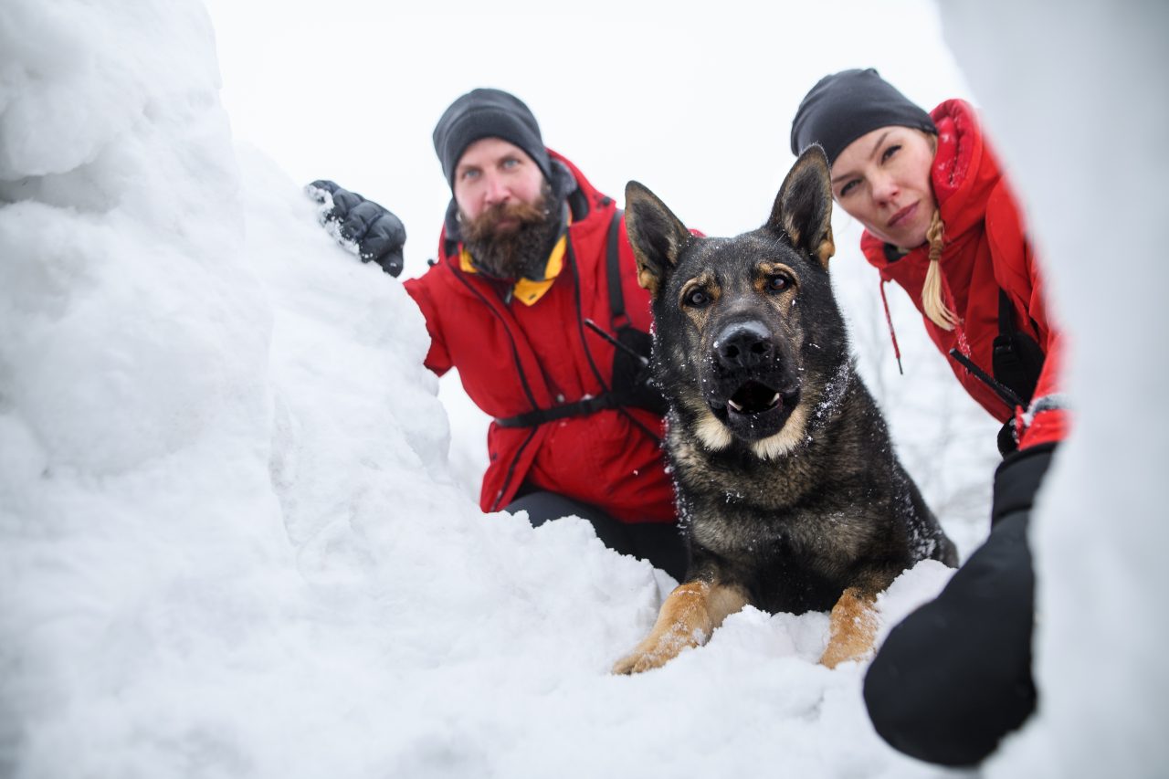 To personer og en hund som redder noen i snøen.