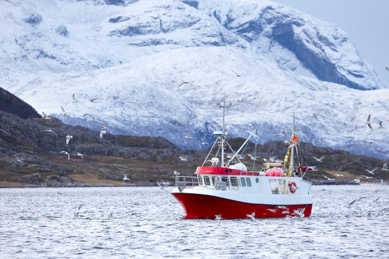 Fiskebåt i arktisk miljø.