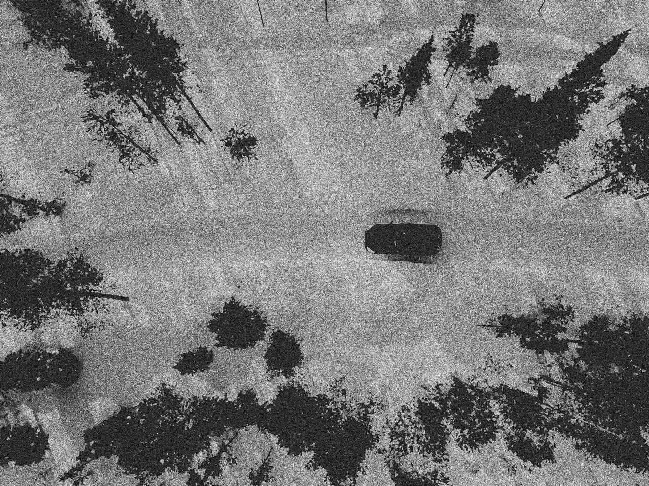 Bil kjører i skogen på snødekt vei