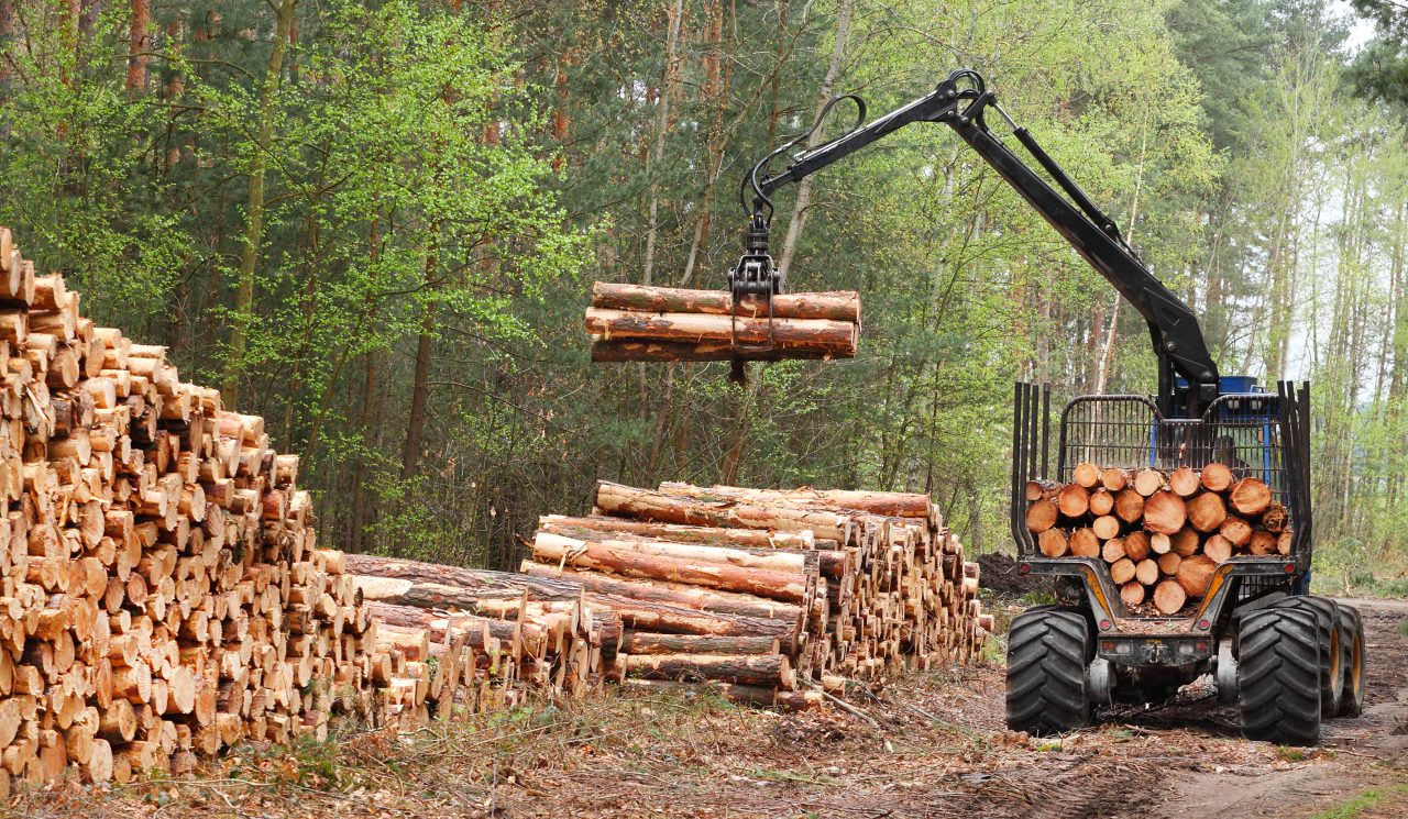 Tømmerhogst med spesialtraktor