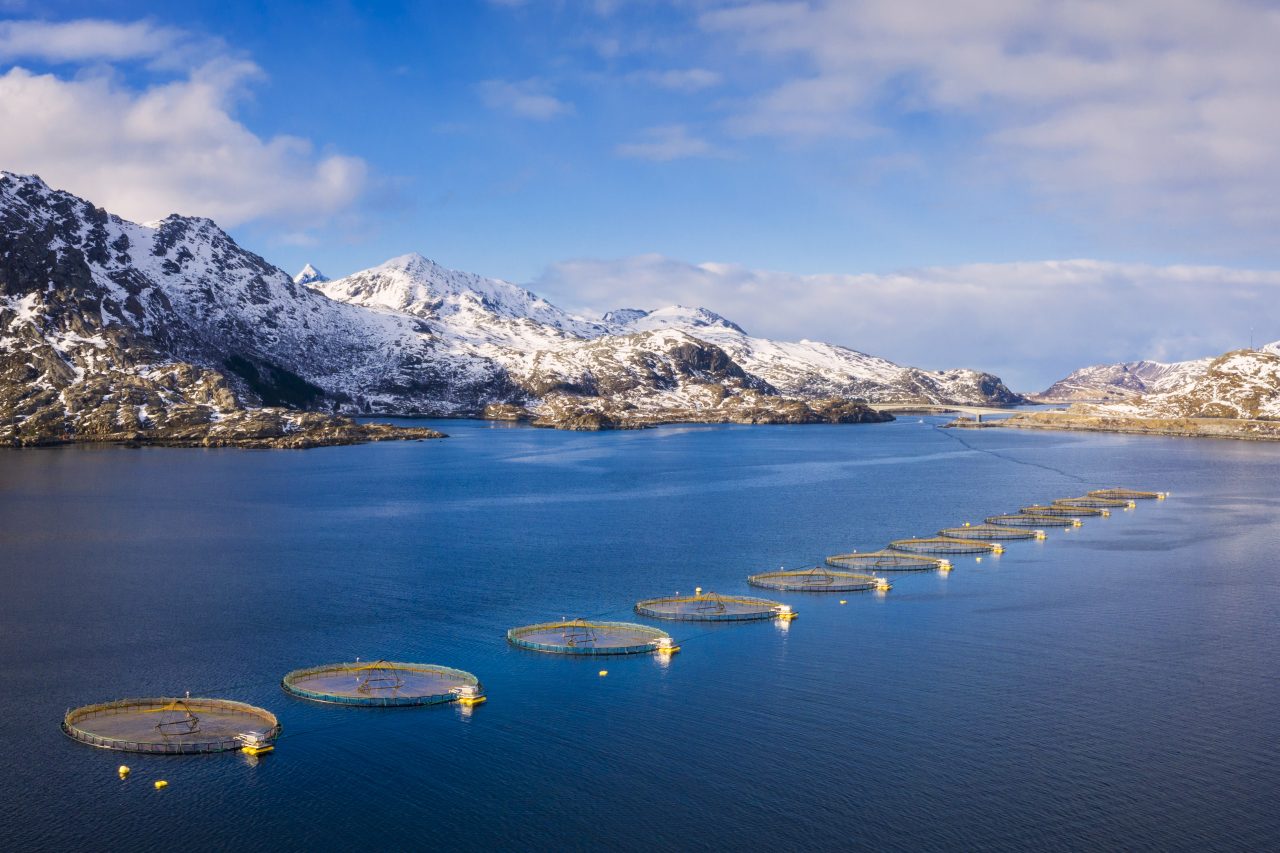 Oppdrettsanlegg i Lofoten