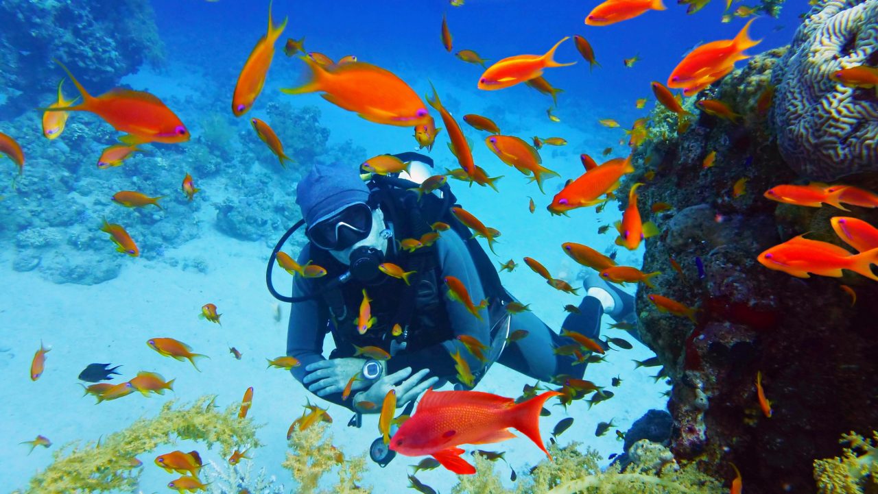 Mann dykker i korallrev med røde fisker rundt seg.