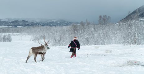 Samisk person leier et regnsdyr over et snøkledd landskap