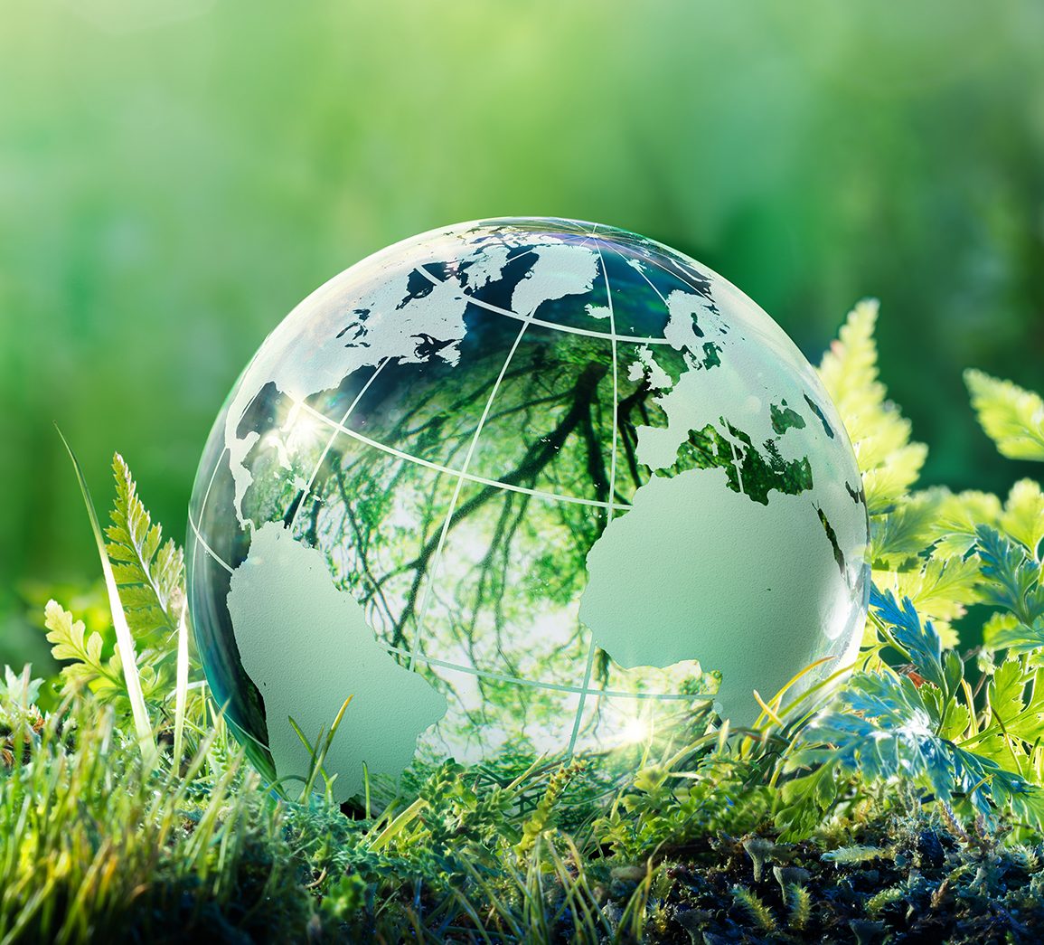 En jordklode av glass ligger i et frodig naturlandskap