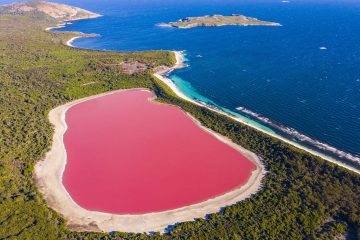 Lake Hillier i Australia med sitt rosa vann, ligger rett ved siden av Stillehavet som er knall blått.