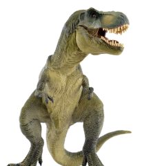 Tyrannosaurus