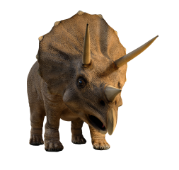 Triceratops