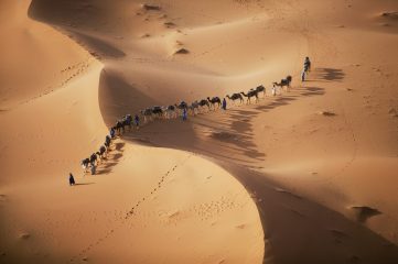 Sahara-ørkenen