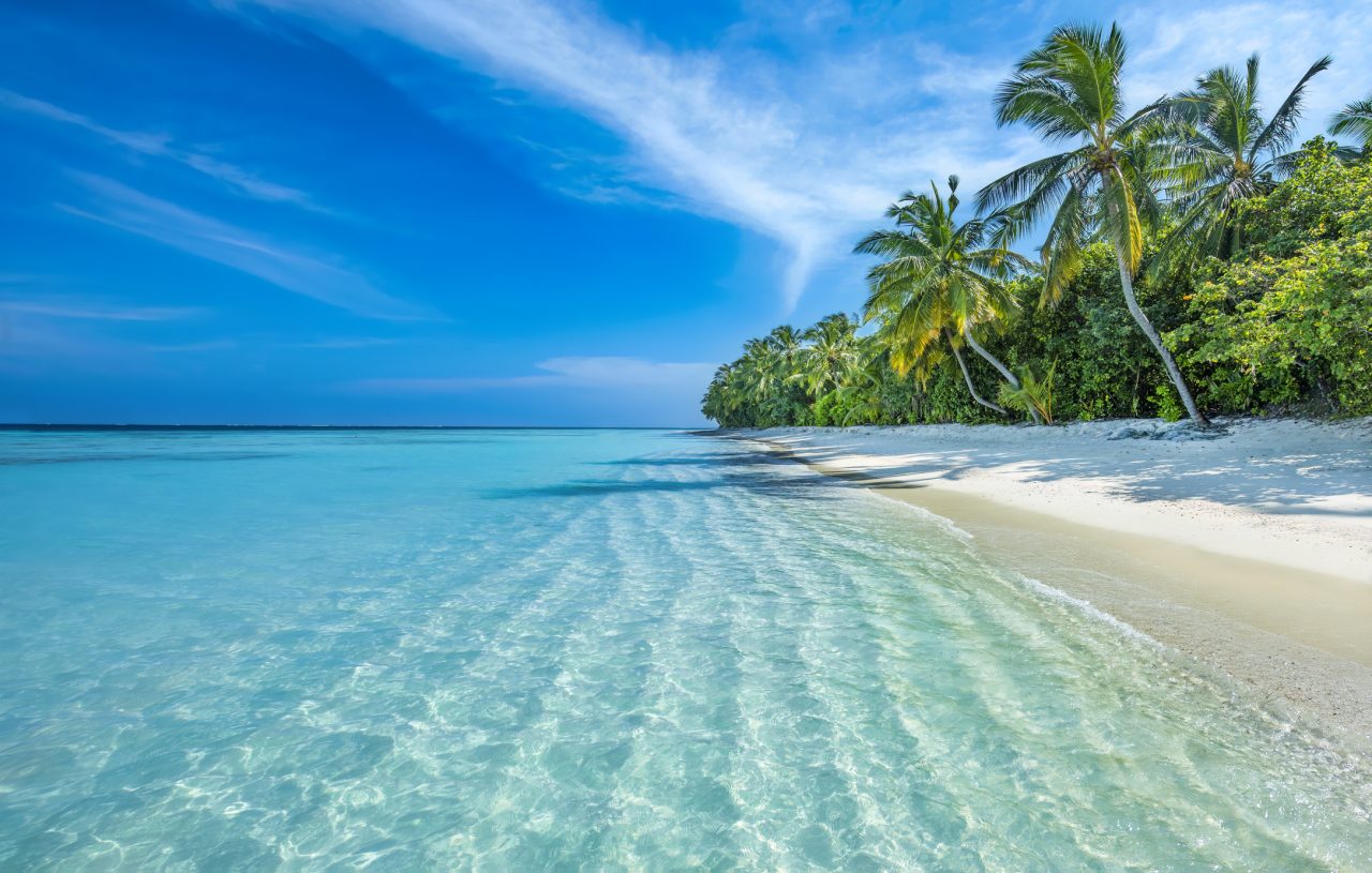 En strand med klart vann og blå himmel på Maldivene.