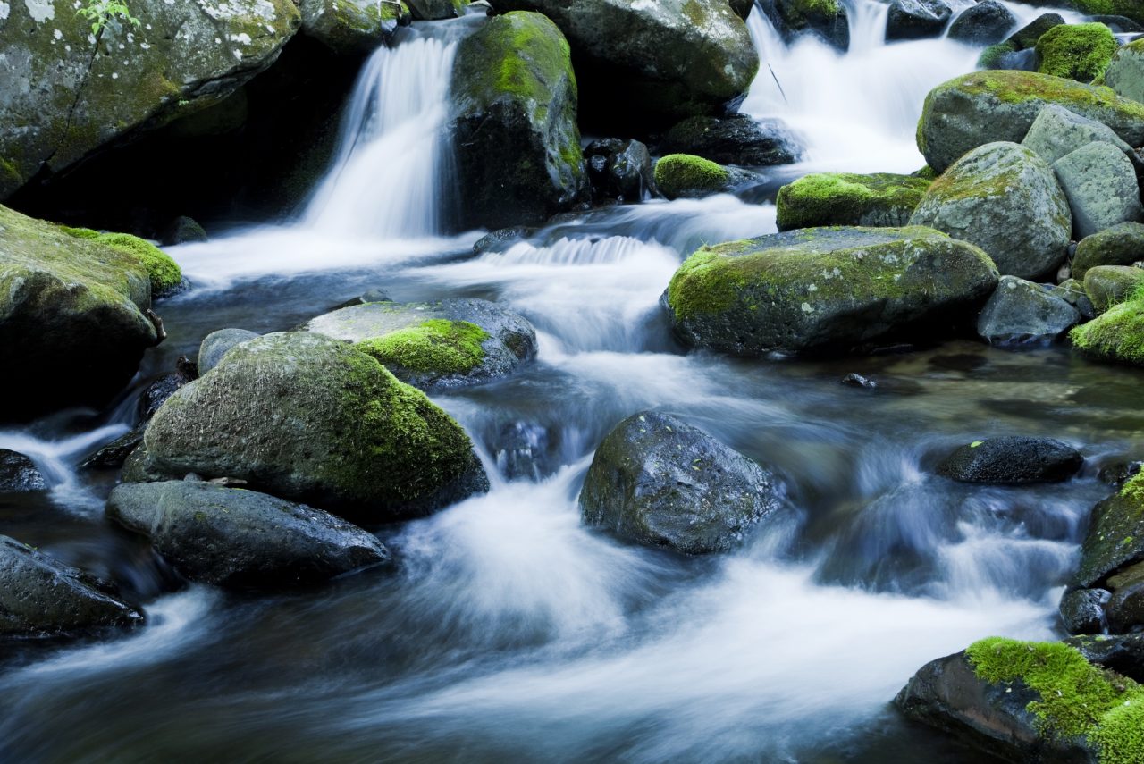 Mountain stream flows through mossy rocks