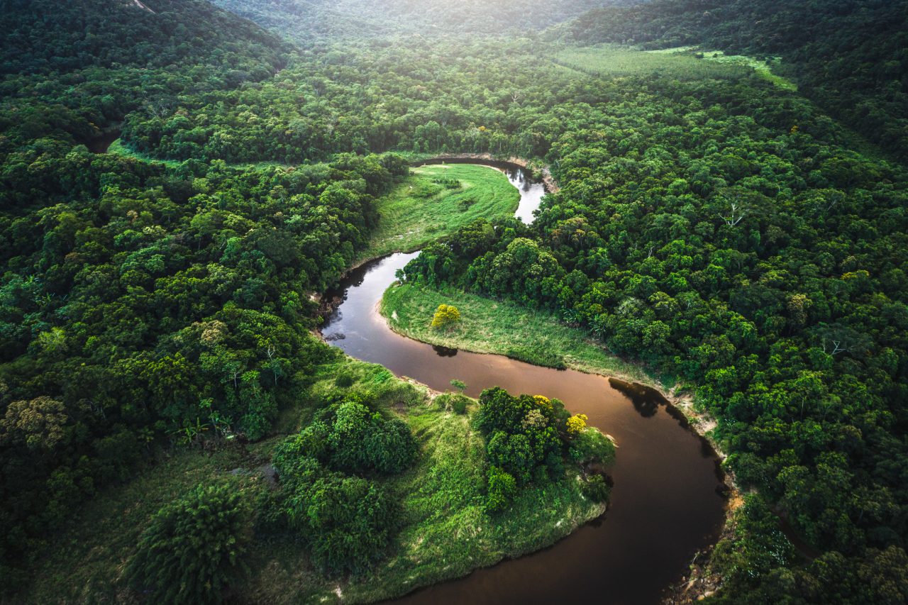 En elv som renner gjennom den Brasilianske regnskogen sett ovenifra