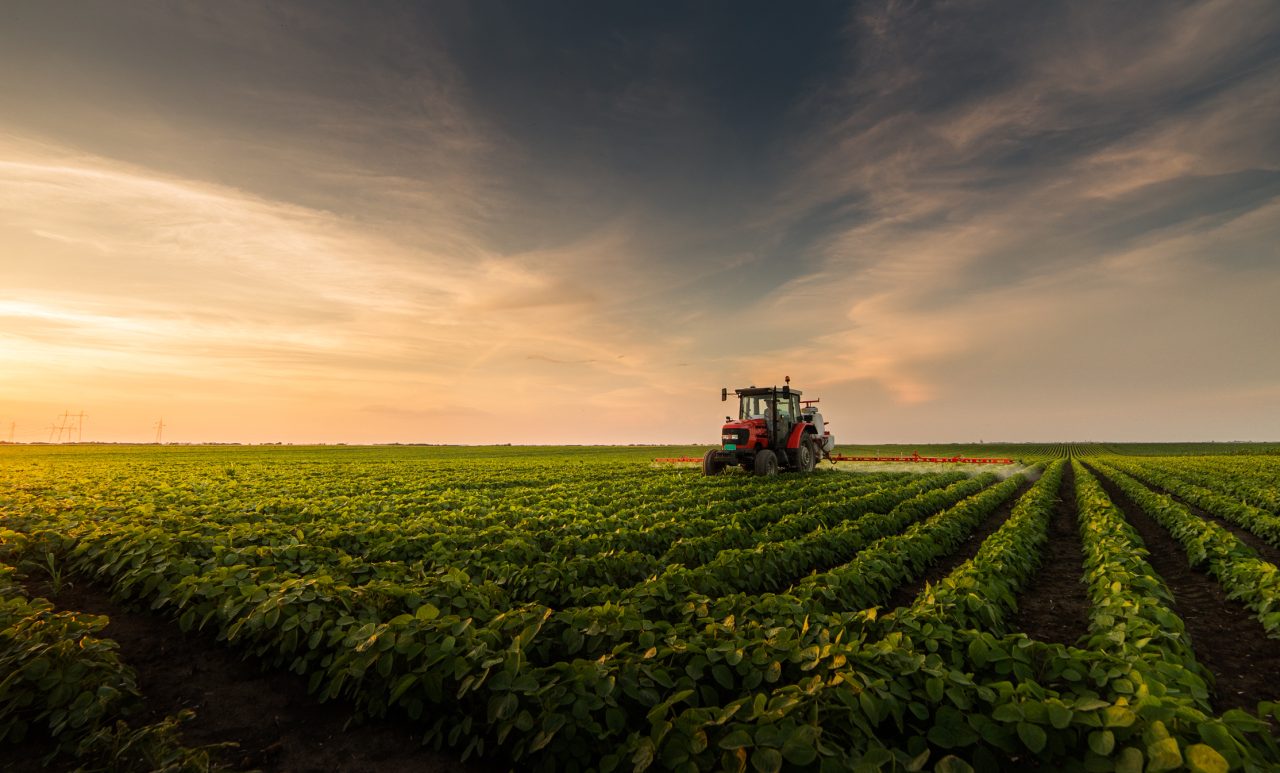 En traktor sprøyter insektsmiddel i åkeren