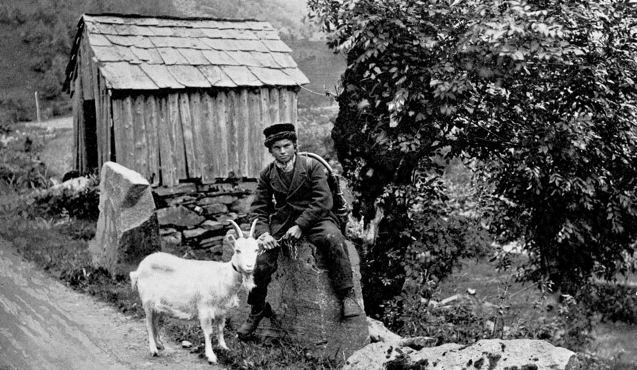 Gårdsgutt i Norge fra 1900-tallet med en geit. Gutten sitter på en stein og vi ser en gammel låve i bakgrunnen.