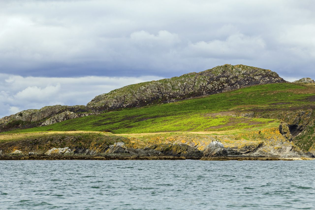 Irlands øye, en ubebodd øy utenfor Dublin