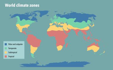Illustrasjon av kart som viser jordas klimasoner.