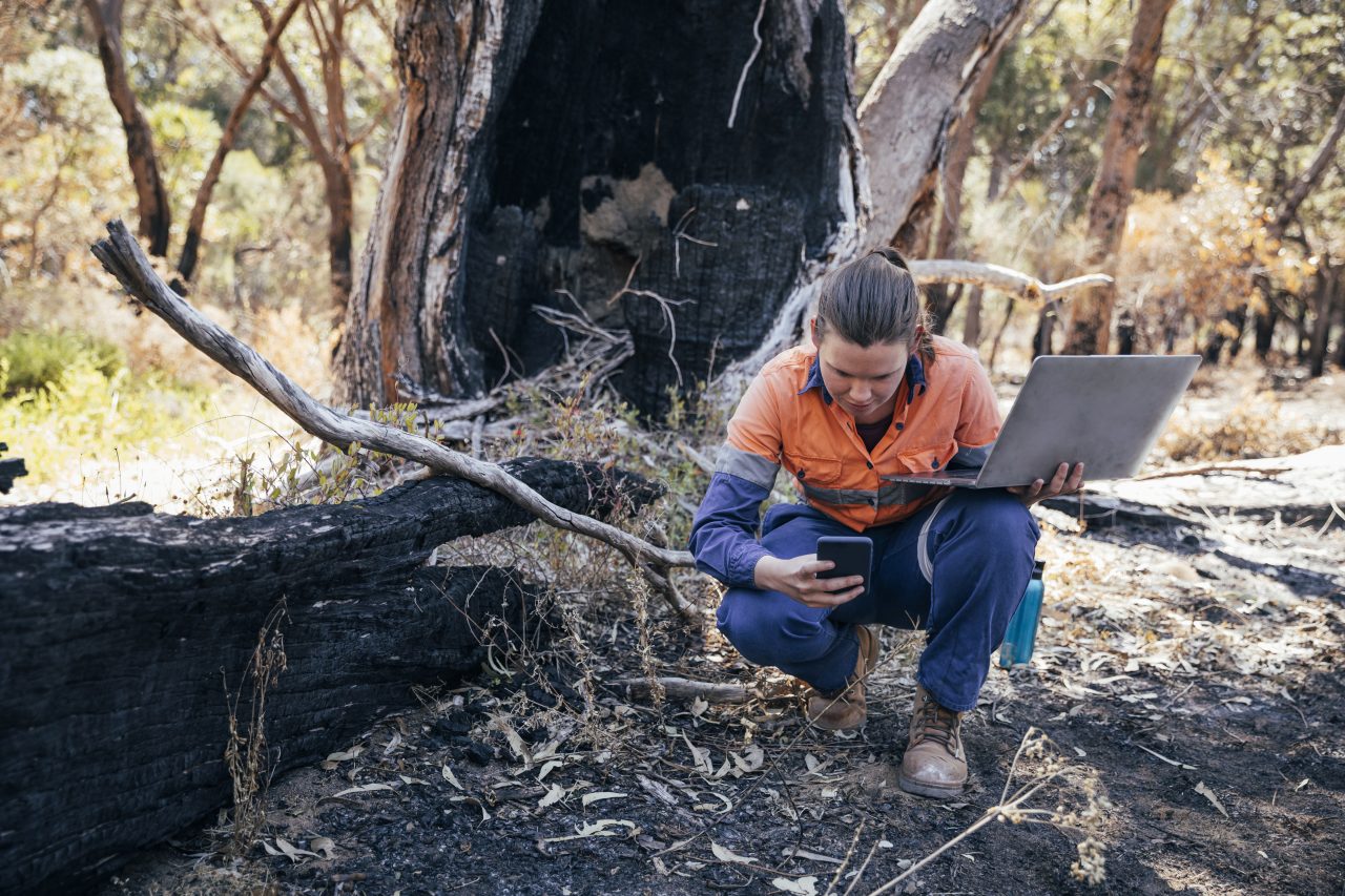 Rockingham Lake regionalpark. Kvinnelig vitenskapelig miljøvernforkjemper som arbeider med hjelp av teknologi for å samle inn data. Den australske bushen har blitt skadet av brann.