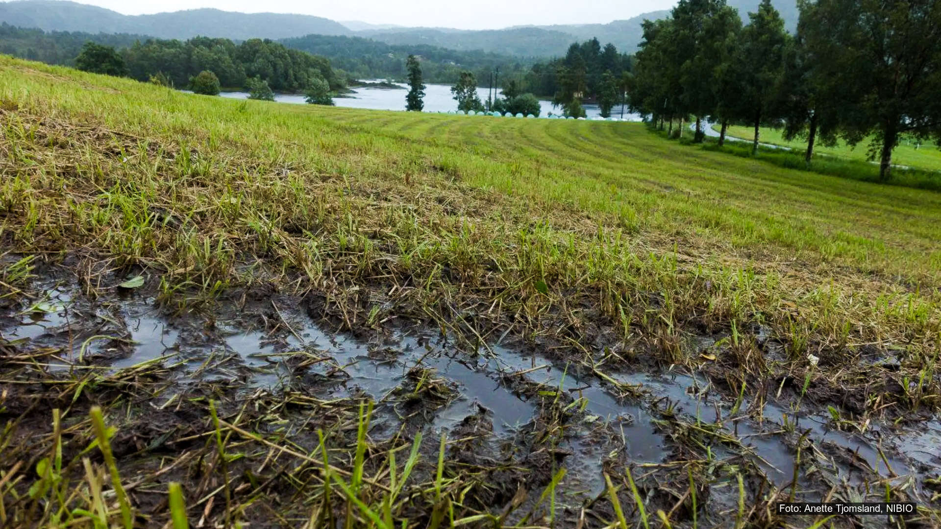 T8 – Forsterket innsats