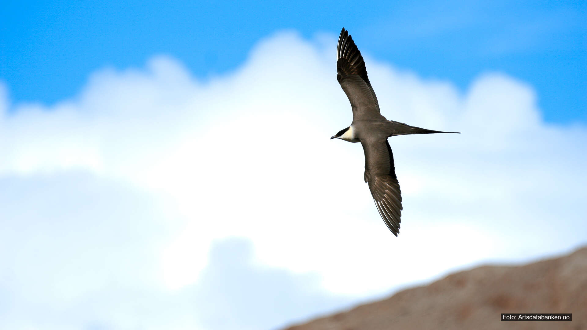 T20-Vurdere miljøkrav for verdensarvfjordene