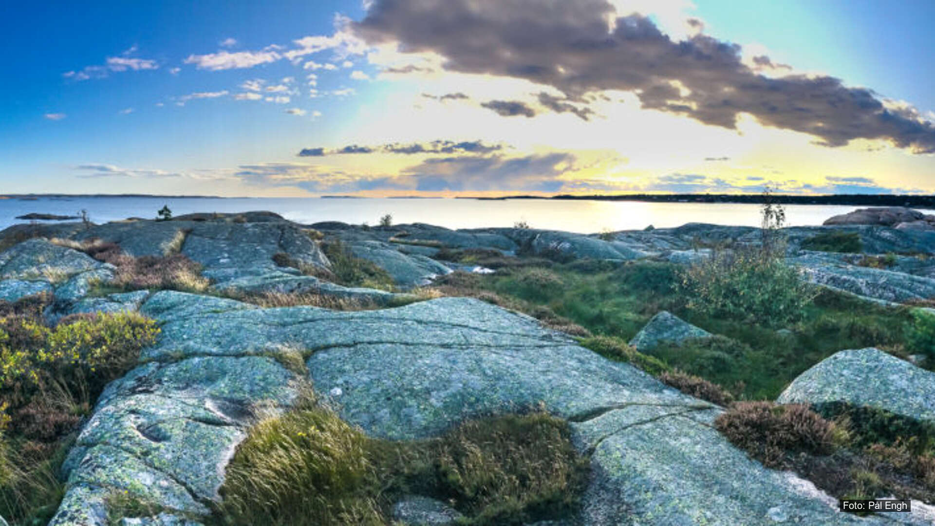 T26-Styrke arbeidet å fjerne fremmede arter