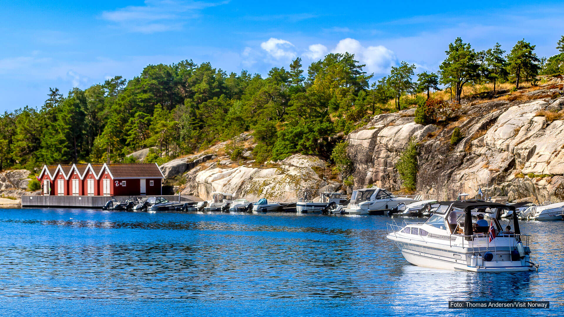 T5 – Oppfordring til forbud mot septiktømming