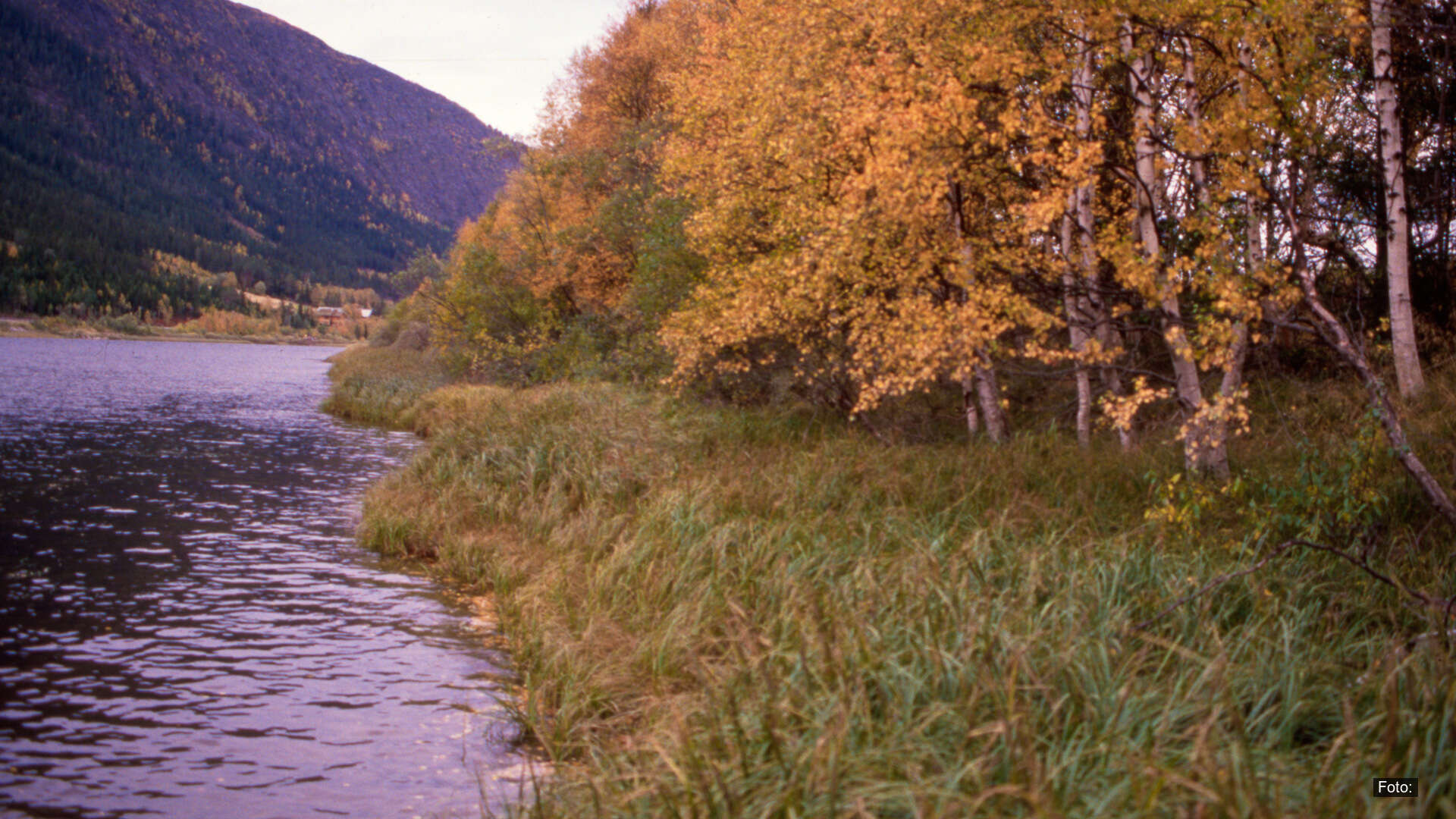 T31-Strategisk plan for restaurering