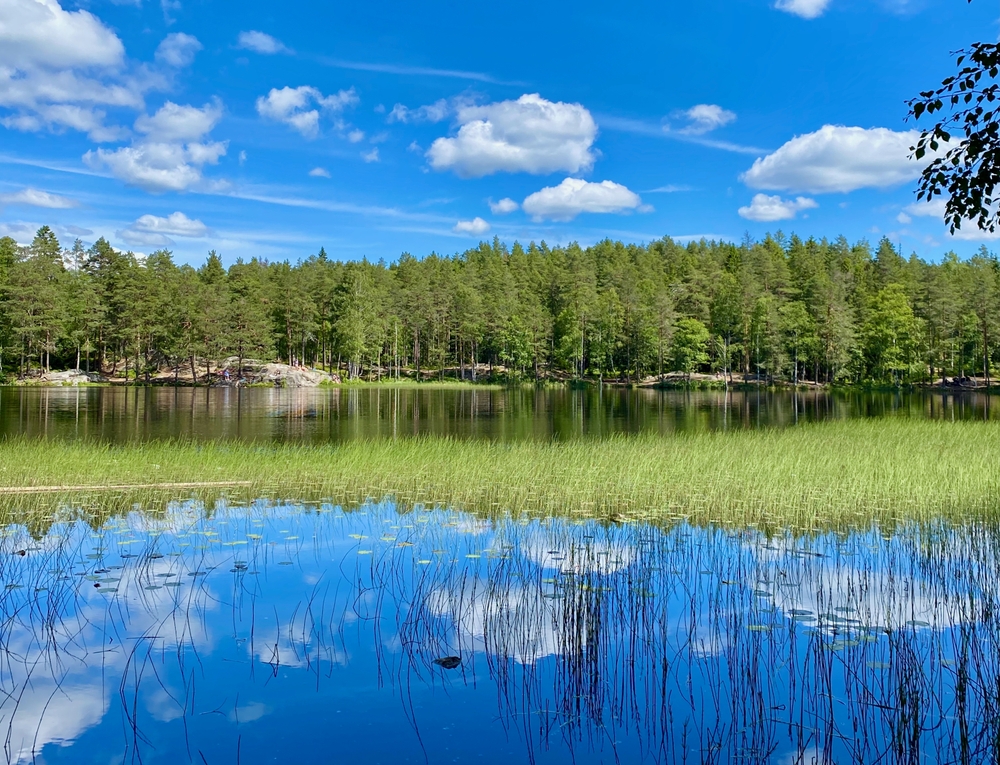 T31-Strategisk plan for restaurering