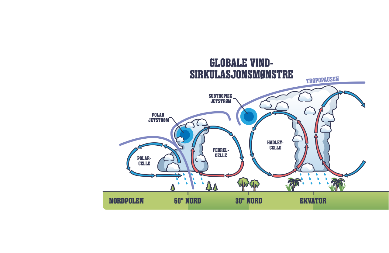 Grafisk fremstilling av vindsystemene; Hadley-, Ferrel- og Polarcellene