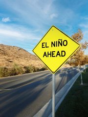 Varselskilt langs veien som sier: El nino ahead